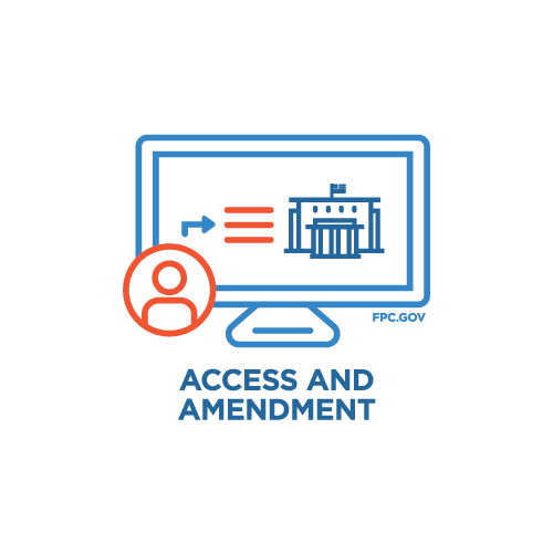 Access and Amendment Color Icon