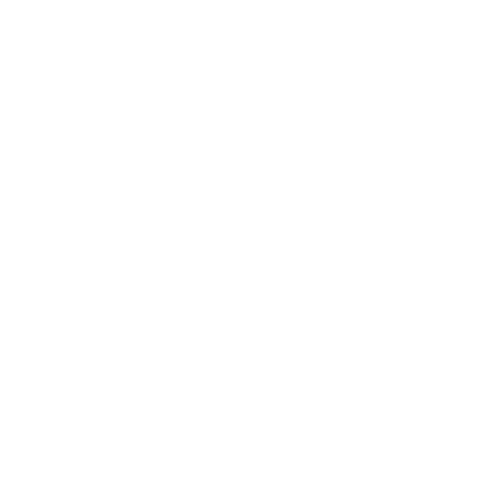 Access and amendment reversed color icon